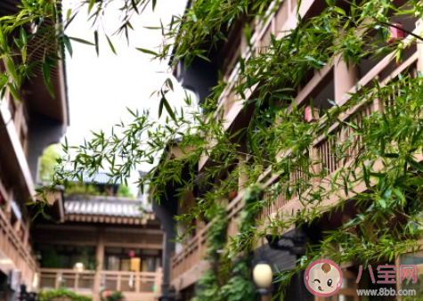 入秋的第一场雨的说说 秋天的第一场雨朋友圈 入秋的第一场雨的说说 秋天的第一场雨朋友圈