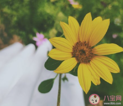 入秋的感觉入秋的心情句子 入秋了一句话感受说说 入秋的感觉入秋的心情句子 入秋了一句话感受说说