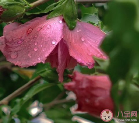 入秋的感觉入秋的心情句子 入秋了一句话感受说说 入秋的感觉入秋的心情句子 入秋了一句话感受说说