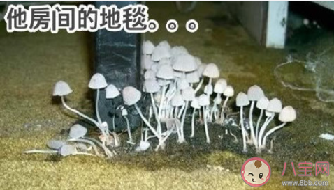 寄宿后才明白的事是什么 哪些事情是寄宿后才明白