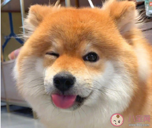 如何解决生活焦虑 太焦虑了该怎么办 如何解决生活焦虑 太焦虑了该怎么办