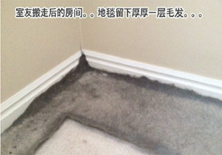 寄宿后才明白的事是什么 哪些事情是寄宿后才明白