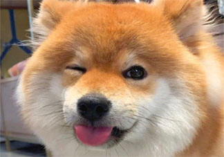 如何解决生活焦虑 太焦虑了该怎么办