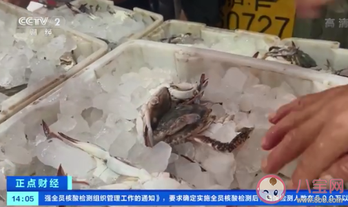 梭子蟹比去年便宜30% 梭子蟹有什么营养价值 梭子蟹比去年便宜30% 梭子蟹有什么营养价值