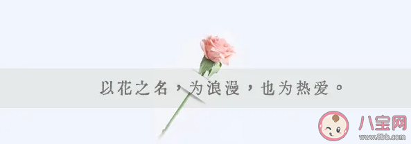 2021七夕借势文案怎么写 七夕各行各业创意文案