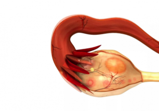 卵巢衰老的信号有哪些 如何预防里卵巢早衰