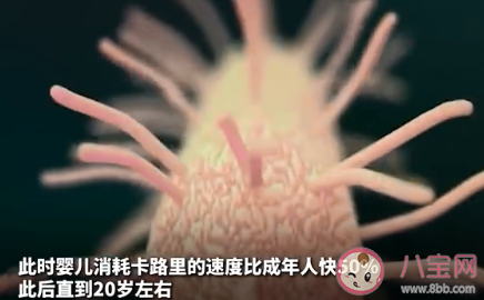 中年发福不是因为新陈代谢变慢 人到中年为什么会发福