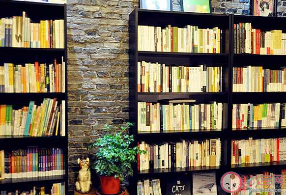 有些书放久了会泛黄主要因为 蚂蚁庄园8月17日答案介绍