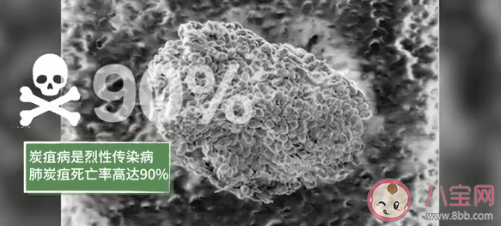 感染炭疽病毒什么症状 怎样预防炭疽病毒