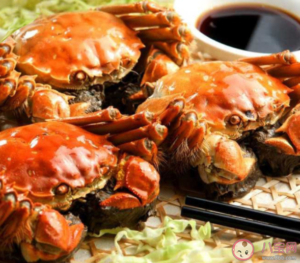 蚂蚁庄园螃蟹煮熟后为什么会变红 8月18日正确答案解析