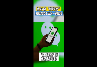 微信或支持刷手支付 刷手支付安全吗有什么好处