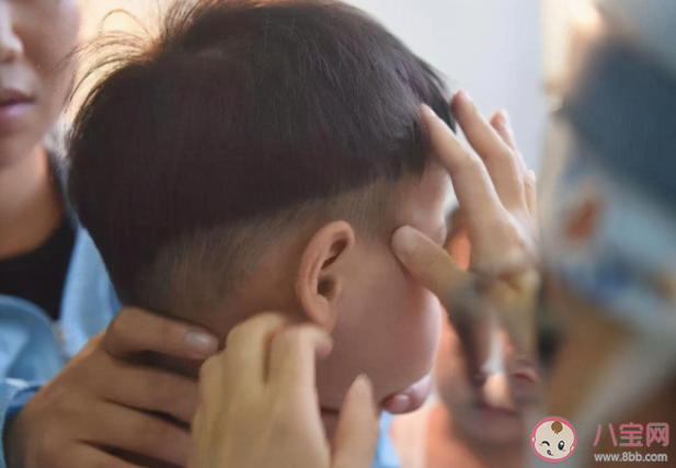 虫子进了耳朵用手电筒照是好办法吗 蚂蚁庄园8月19日正确答案