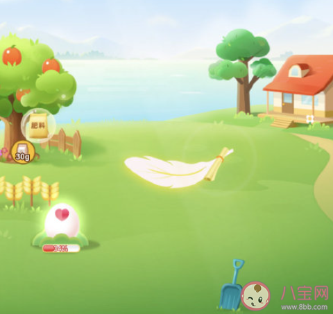 支付宝小鸡去哪了 小鸡什么时候回来 支付宝小鸡去哪了 小鸡什么时候回来