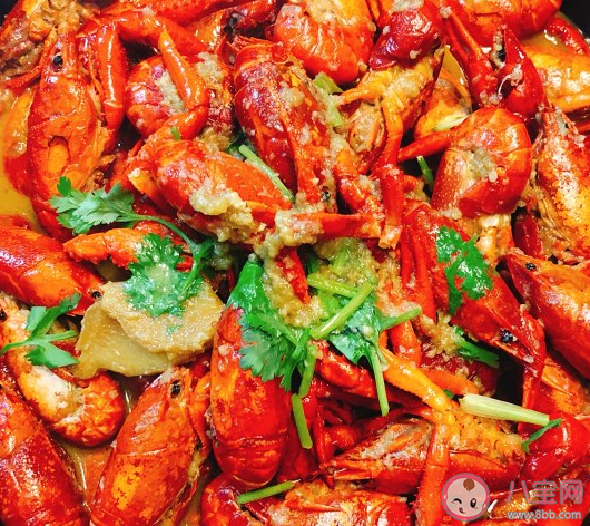 虾头变黑是因为重金属超标吗 蚂蚁庄园8月21日答案介绍