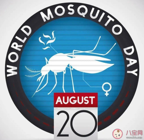 世界蚊子日是怎么来的 蚊子都喜欢晚上咬人吗