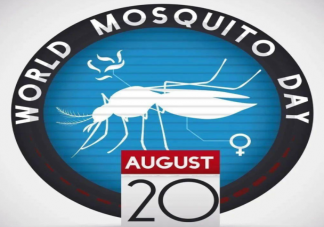 世界蚊子日是怎么来的 蚊子都喜欢晚上咬人吗