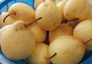 适合孩子食用的鲜梨食疗方 孩子吃梨注意事项