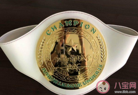 金腰带一般是哪项运动冠军获得的荣誉 蚂蚁庄园小课堂8月22日答案