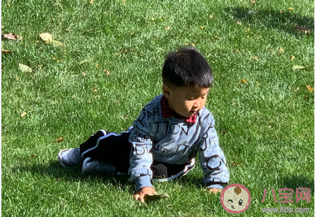孩子摔倒了要不要扶 不扶就是锻炼孩子吗