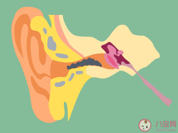 为什么蟑螂总喜欢爬到人的耳朵里 蟑螂爬进耳朵该怎么处理