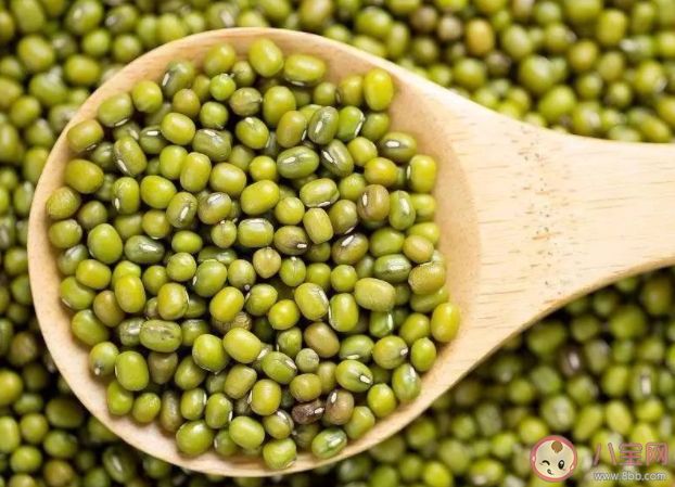 绿豆不能像黄豆一样打出豆浆原因与什么有关 蚂蚁庄园8月25日答案