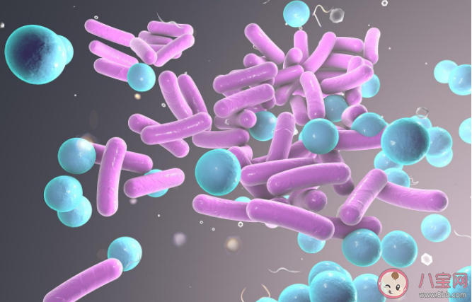 打免疫球蛋白能提高免疫力吗 什么是人免疫球蛋白