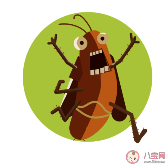 为什么家里的蟑螂就是杀不干净 怎么有效消除家里的蟑螂