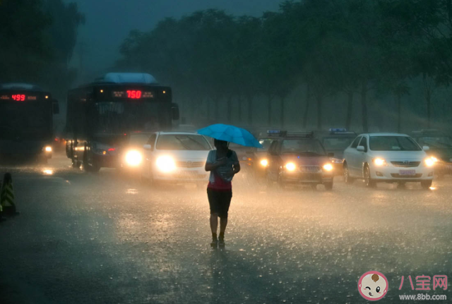 不同级别暴雨预警该如何应对 暴雨来临防灾避险宝典