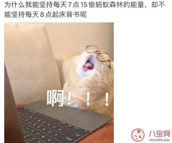 刻进中国人DNA的环保习惯有哪些 中国人的节约观念有多深刻