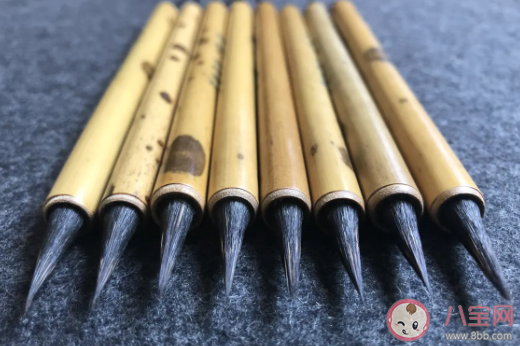 毛笔中的珍品紫毫笔笔头的制作原料出自哪种动物 蚂蚁庄园8月29日答案介绍 毛笔中的珍品紫毫笔笔头的制作原料出自哪种动物 蚂蚁庄园8月29日答案介绍