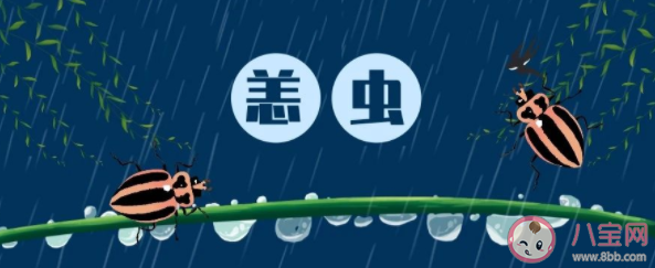 得了恙虫病会有哪些症状 户外如何预防恙虫病