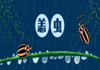 得了恙虫病会有哪些症状 户外如何预防恙虫病