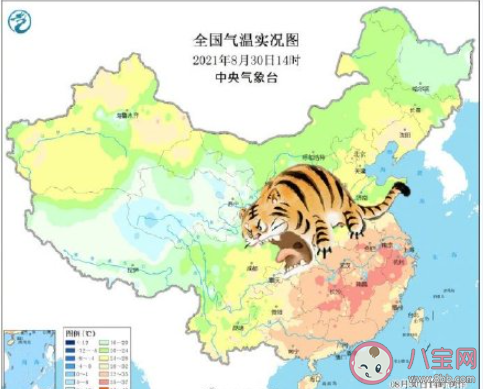 全国秋老虎地图 秋老虎来了如何养生