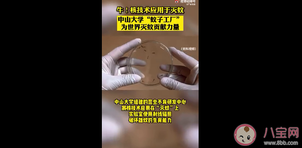 核技术是怎样灭蚊的 核技术灭蚊靠谱安全吗