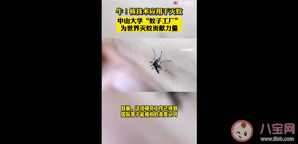 核技术是怎样灭蚊的 核技术灭蚊靠谱安全吗