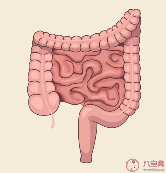 林奇综合征是什么疾病 林奇综合征的高危人群有哪些