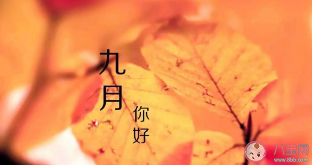 九月第一天早安发朋友圈句子 九月早安励志正能量语录