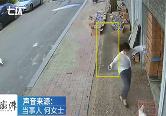 女主人拿走鹅蛋被公鹅追咬大半年 鹅为什么那么记仇