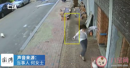 女主人拿走鹅蛋被公鹅追咬大半年 鹅为什么那么记仇