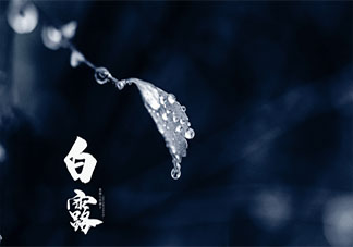 2021适合白露节气发朋友圈文案句子 白露节气经典朋友圈说说大全