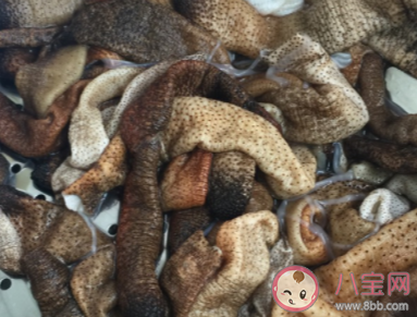 福建的特色传统小吃土笋冻制作原料其实是 蚂蚁庄园9月3日答案