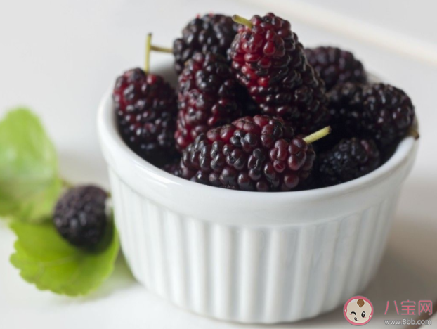 桑葚酒什么时候喝最好 女性喝桑葚酒有什么好处功效 桑葚酒什么时候喝最好 女性喝桑葚酒有什么好处功效