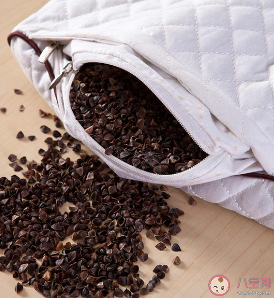 荞麦枕和乳胶枕哪个睡的更舒服 枕头里放什么可以能安神助眠 荞麦枕和乳胶枕哪个睡的更舒服 枕头里放什么可以能安神助眠