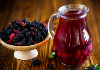 桑葚酒什么时候喝最好 女性喝桑葚酒有什么好处功效