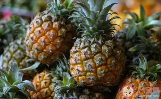 菠萝和凤梨是同一种水果吗 蚂蚁庄园9月8日答案介绍