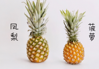 蚂蚁庄园菠萝和凤梨是同一种水果吗 9月8日答案解析