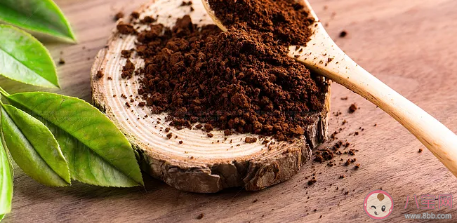 长期吃灵芝孢子粉会有副作用吗 灵芝孢子粉怎么服用 长期吃灵芝孢子粉会有副作用吗 灵芝孢子粉怎么服用