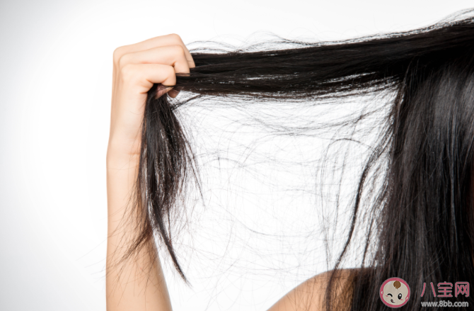头发干枯分叉的原因是什么 如何修复分叉的头发 