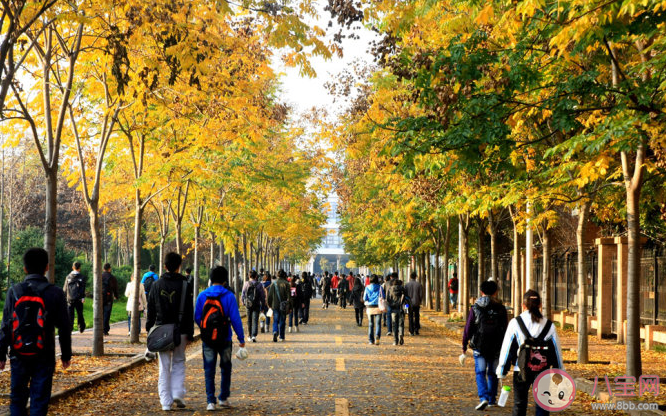 大学最没必要做的事是什么 哪些事情是大学没必要做的呢