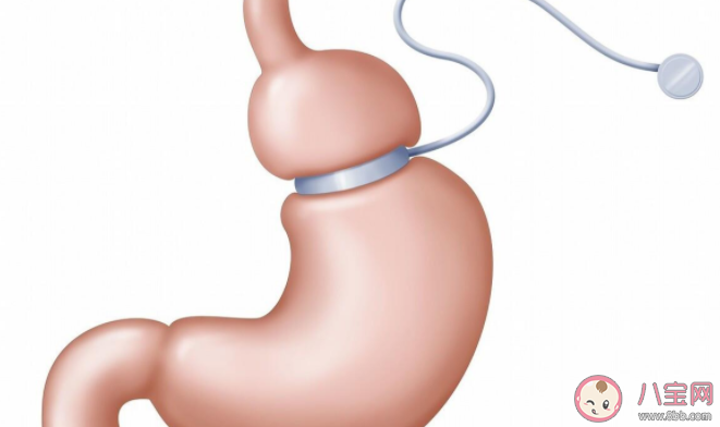 胃会越撑越大越饿越小吗 为什么有些人格外能吃